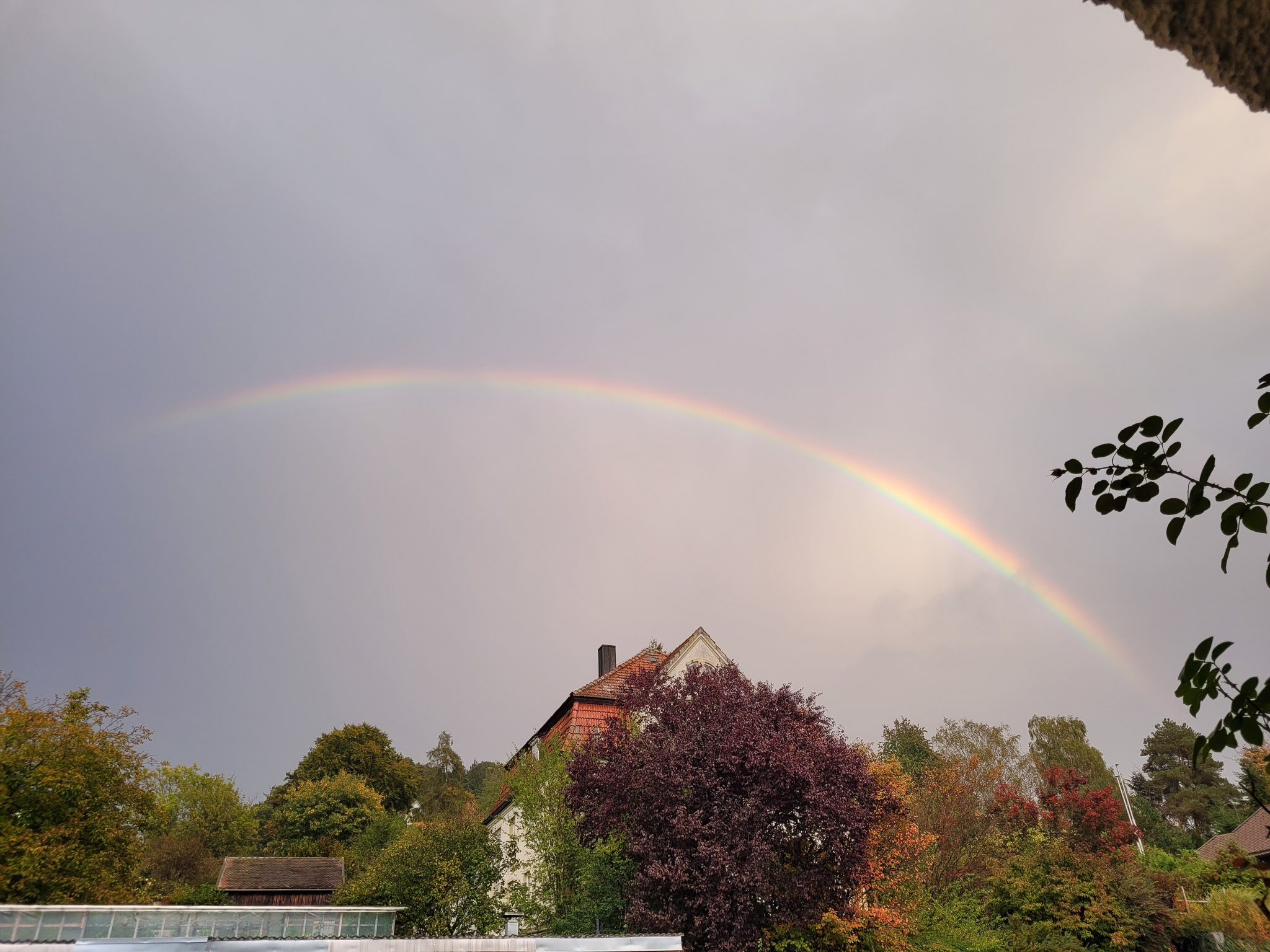 20231014175154 20231014 175154